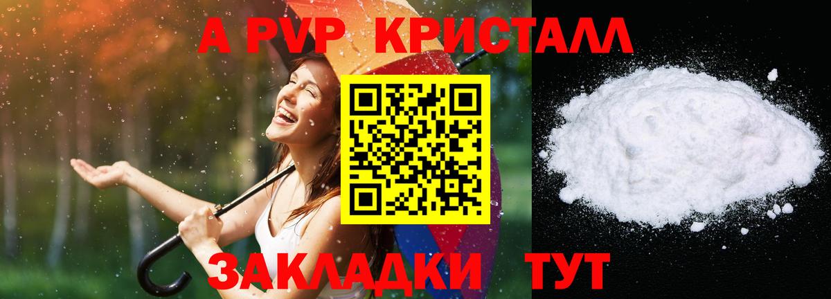Альфа ПВП СК КРИС Петропавловск-Камчатский