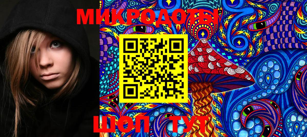 Галлюциногенные грибы Psilocybine cubensis  Галлюциногенные грибы Magic Shrooms  где можно купить   Петропавловск-Камчатский  Вход с VPN 