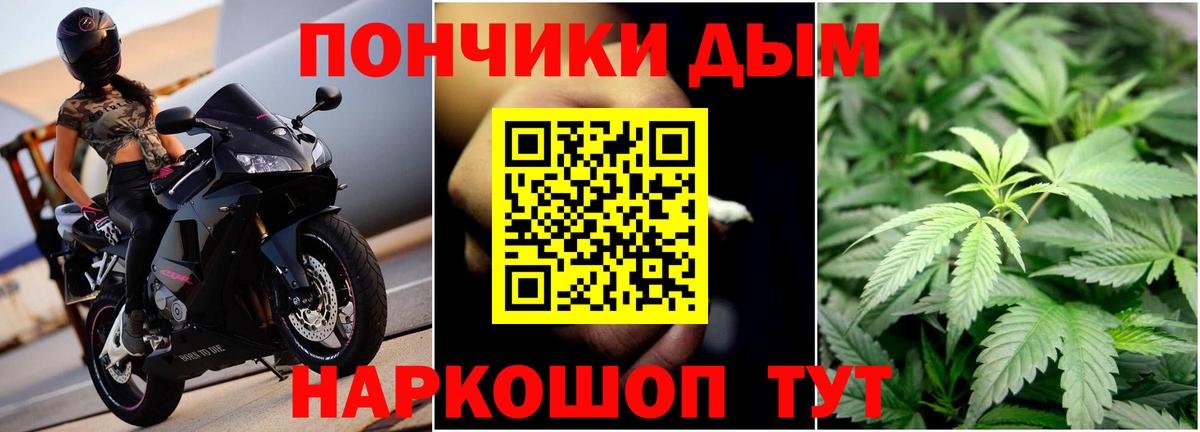 Бошки Шишки планчик Петропавловск-Камчатский